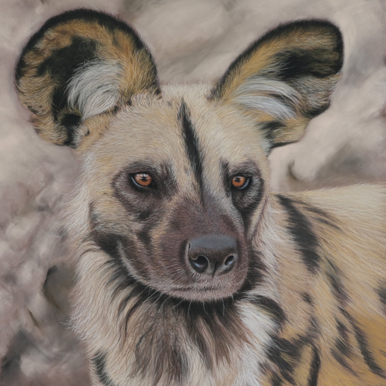 African Wild Dog — original soft pastel painting by Jaci Hogan